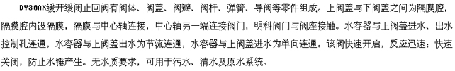 DY30AX缓开缓闭低水损止回阀图片,介绍,结构,材质
