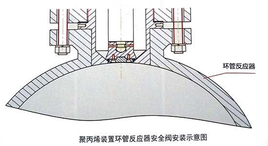 聚丙烯装置环管反应器安全阀设计