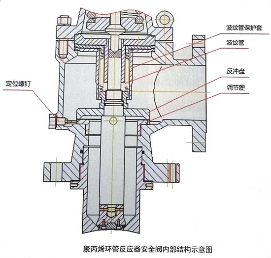 聚丙烯装置环管反应器安全阀设计